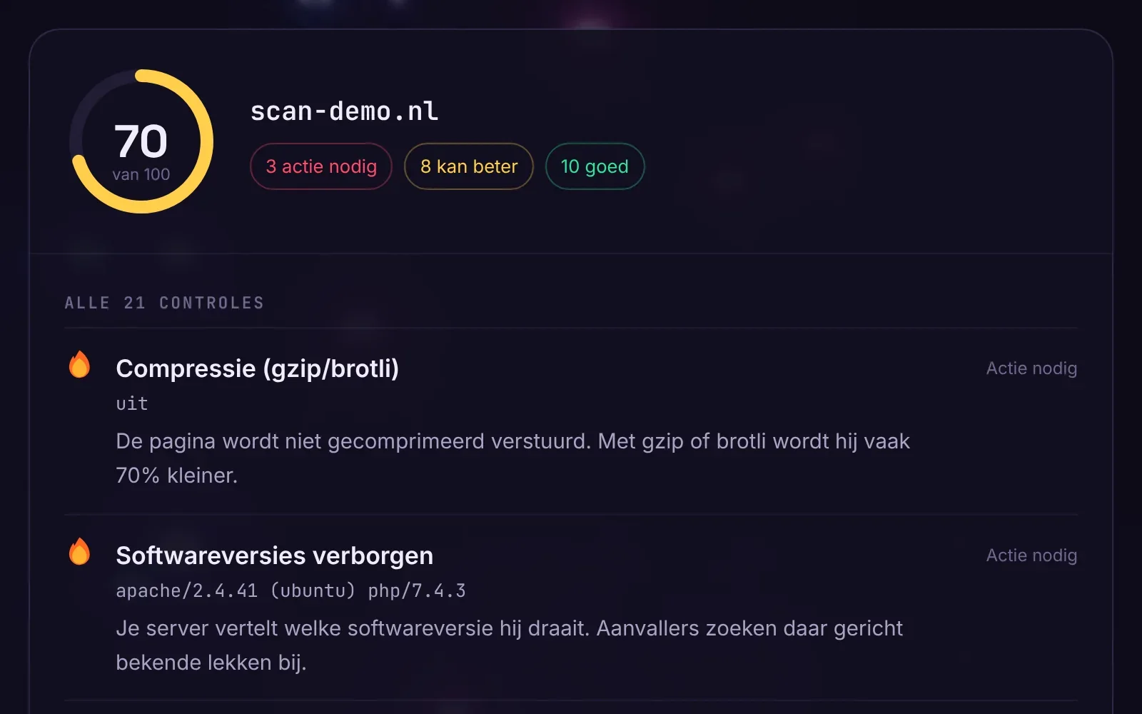 Resultaat van de gratis website-check