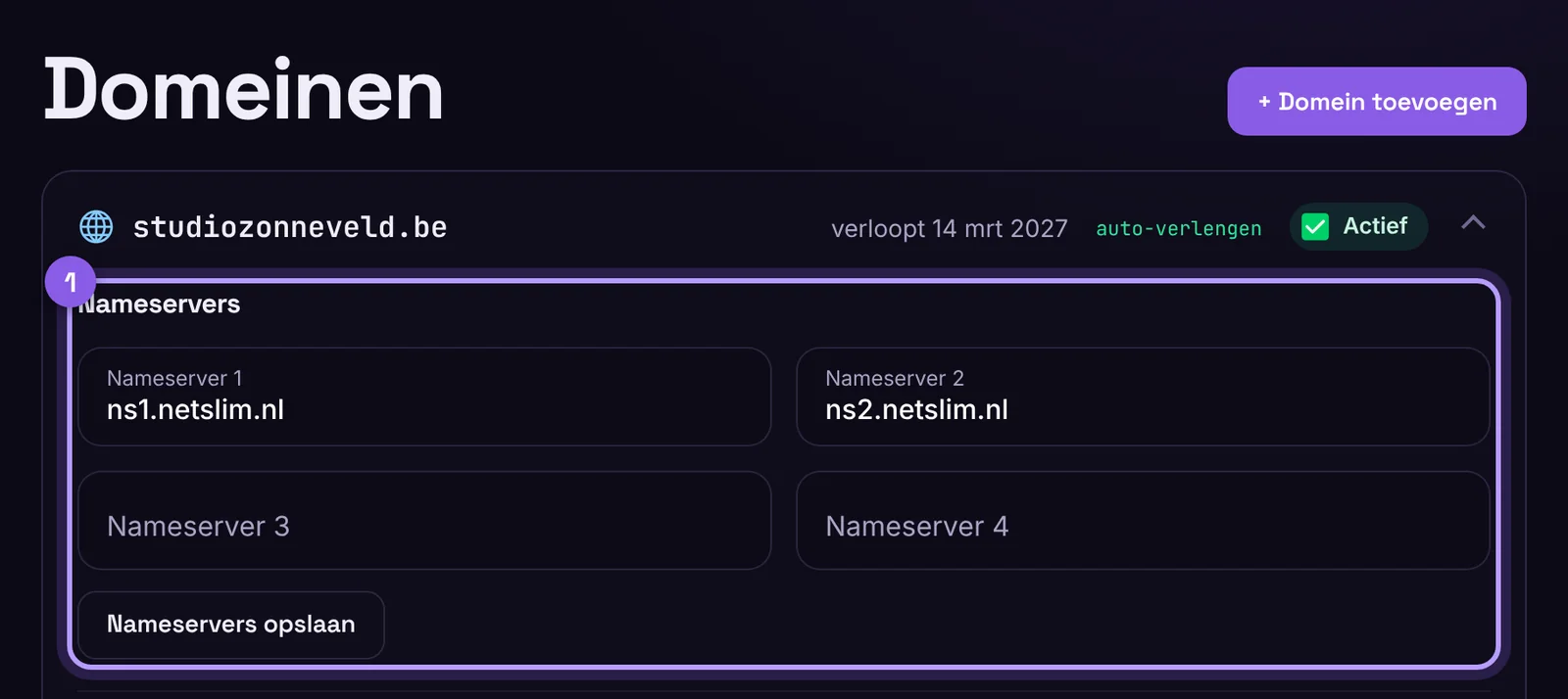 Nameservers van een domein in het klantportaal