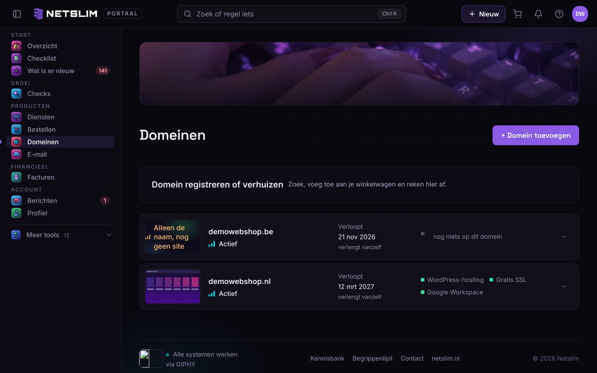 Das Netslim-Portal: Domains