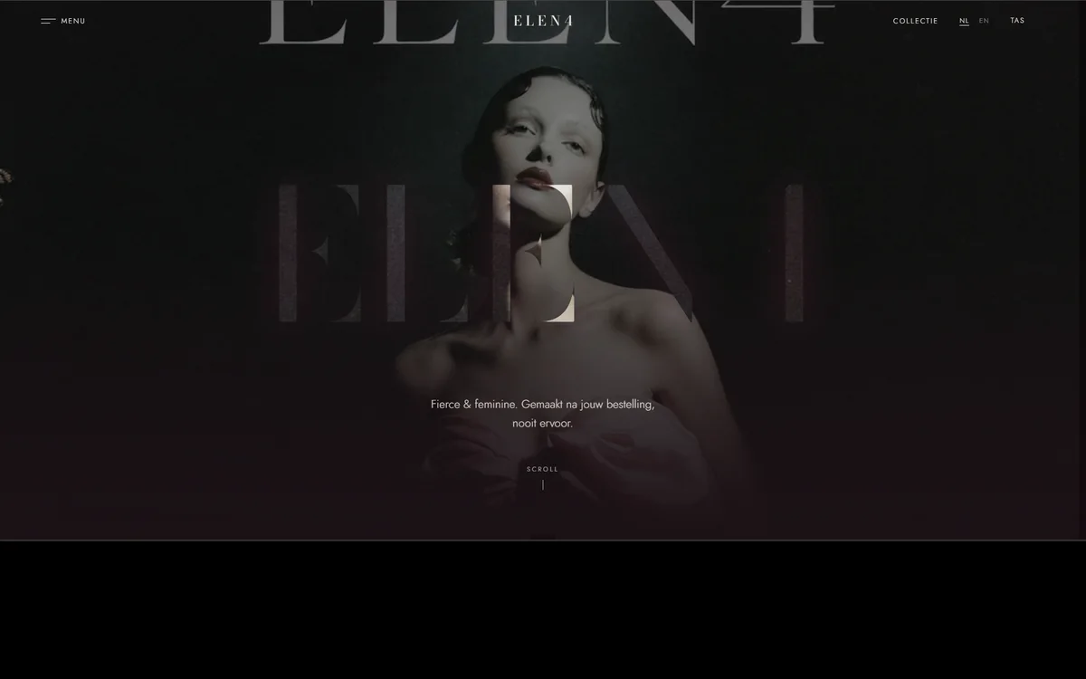 Homepage van ELEN4